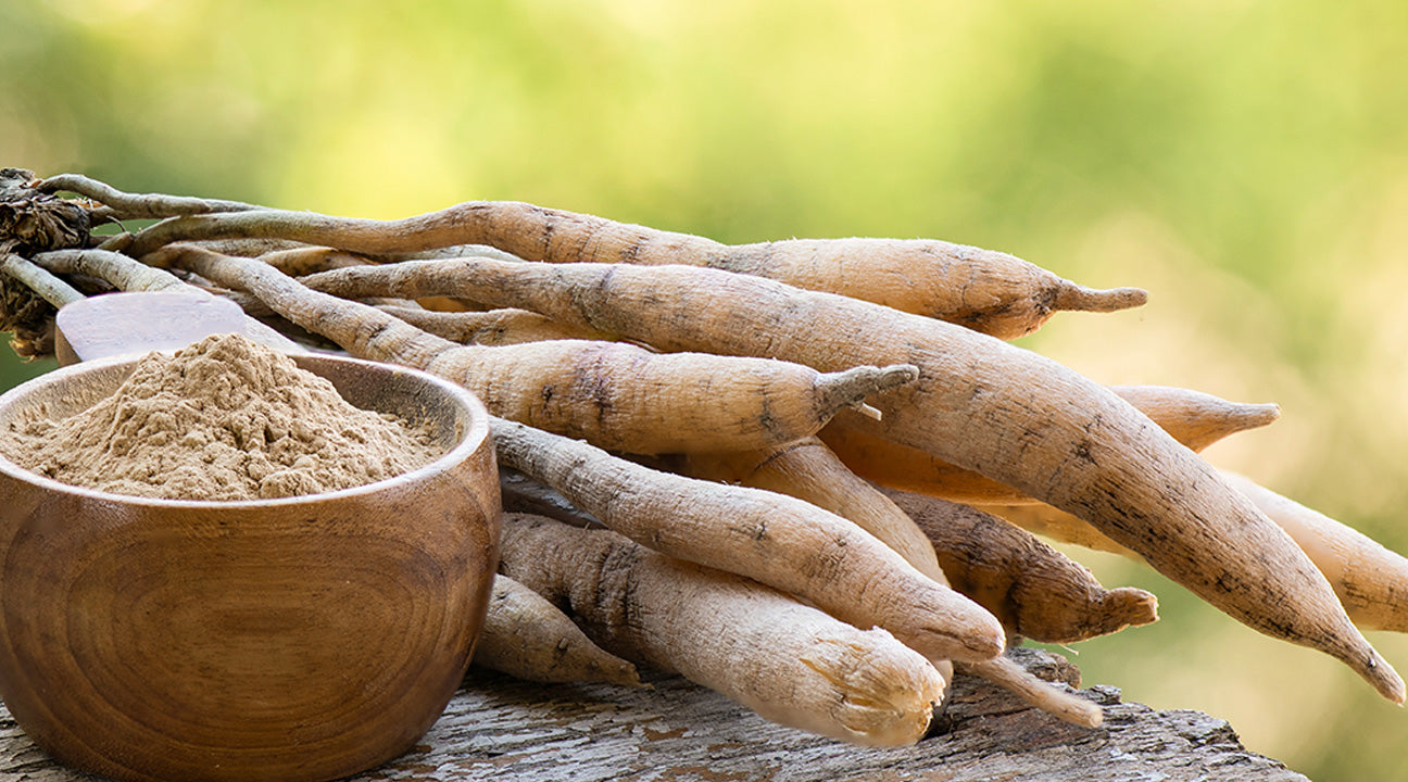 Herbal Purity